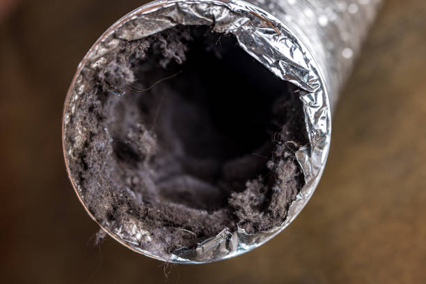 Best HVAC Air Duct Cleaning  in East Bangor, PA